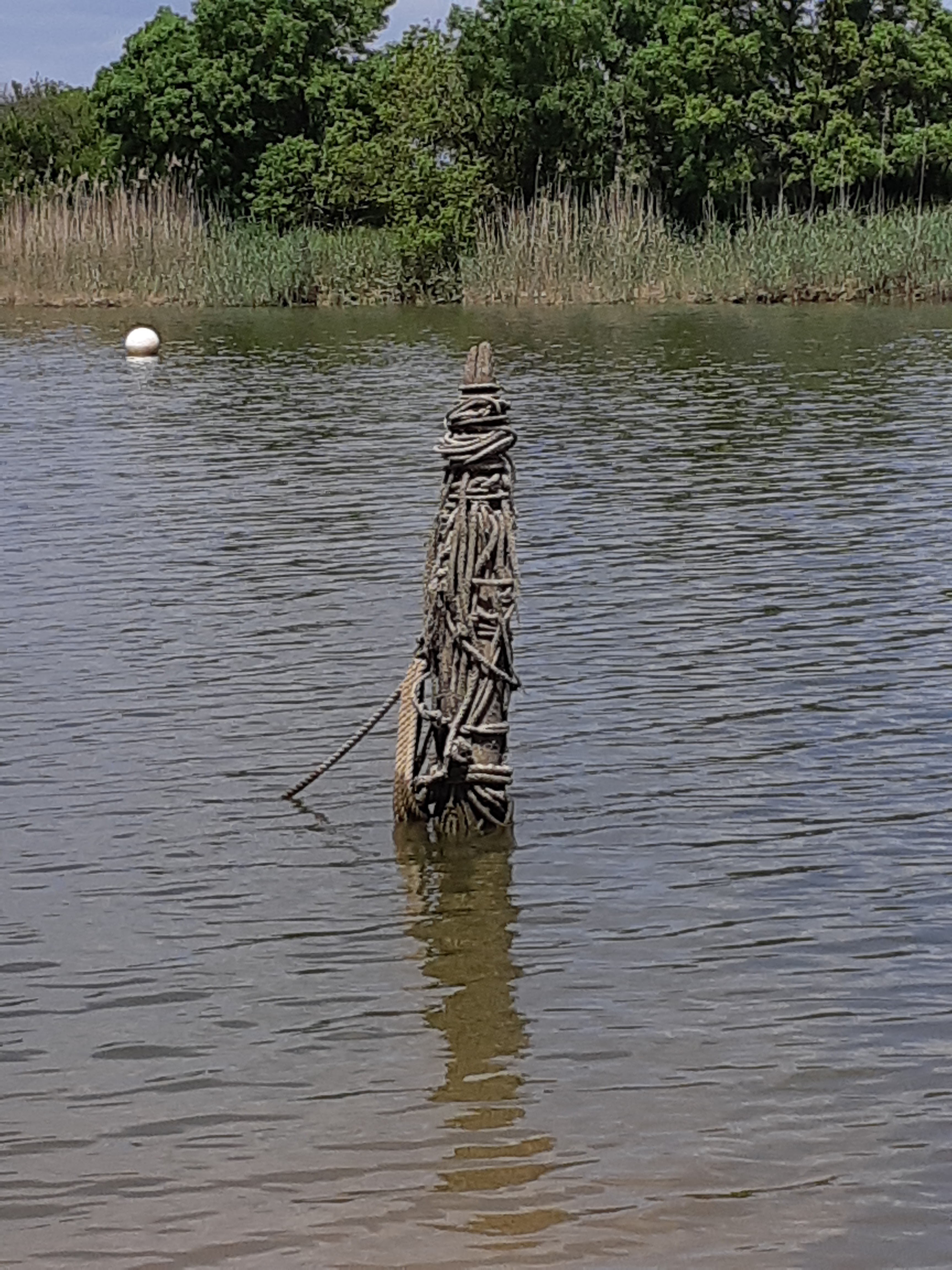 Photo n° 2 de l'avis de Keveen.h fait le 16/06/2018 à 19:41