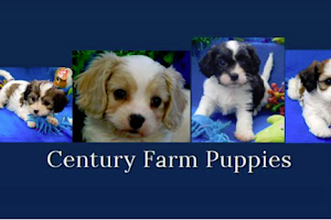 Century Farm Puppies image