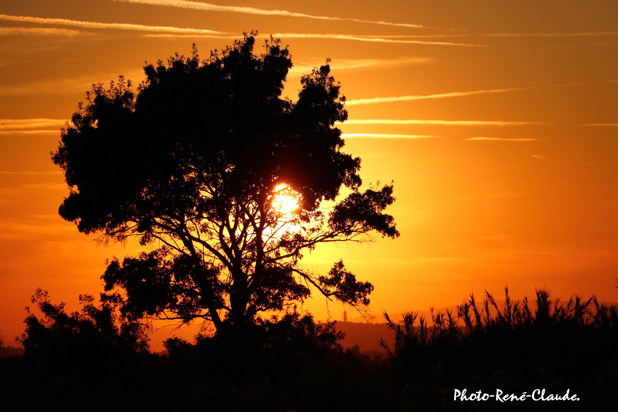 Photo n° 16 de l'avis de rené.a fait le 20/07/2019 à 17:42
