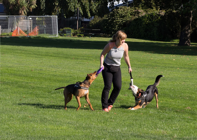 Reviews of Sit Happens in Wellington - Dog trainer