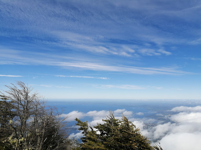 Cerro Pico Toribio - Futrono