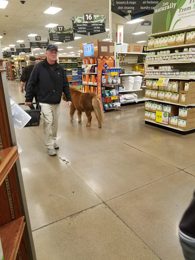 Shopping Mall «Bear Valley Shopping Center», reviews and photos, 3100 S Sheridan Blvd, Denver, CO 80227, USA