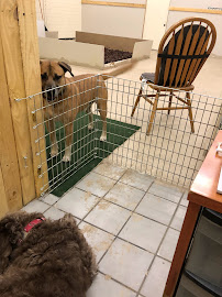 Coby's Dog House - Photo 8 - Car repair in Tucson, AZ, Tucson