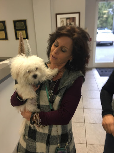 Ford Dealer «Maplecrest Ford of Mendham», reviews and photos, 102 E Main St, Mendham, NJ 07945, USA