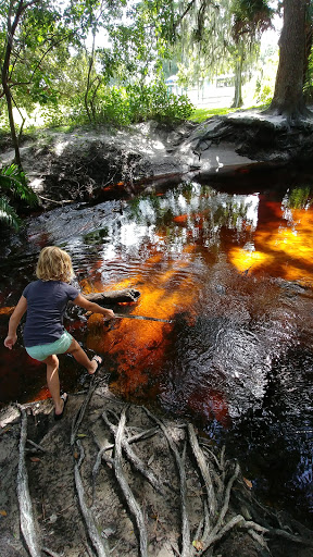 Park «Boyette Springs Park», reviews and photos, 10423-10425 Deepbrook Dr, Riverview, FL 33569, USA
