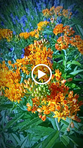 Golf Course «Indian Peaks Golf Course», reviews and photos, 2300 Indian Peaks Trail, Lafayette, CO 80026, USA