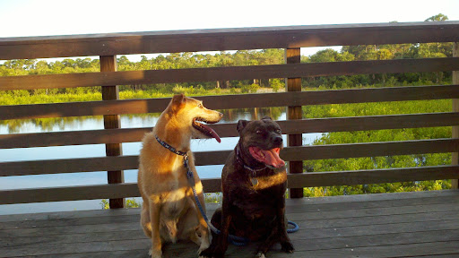 Park «Juno Dunes Natural Area», reviews and photos, 14501 US-1, Juno Beach, FL 33408, USA