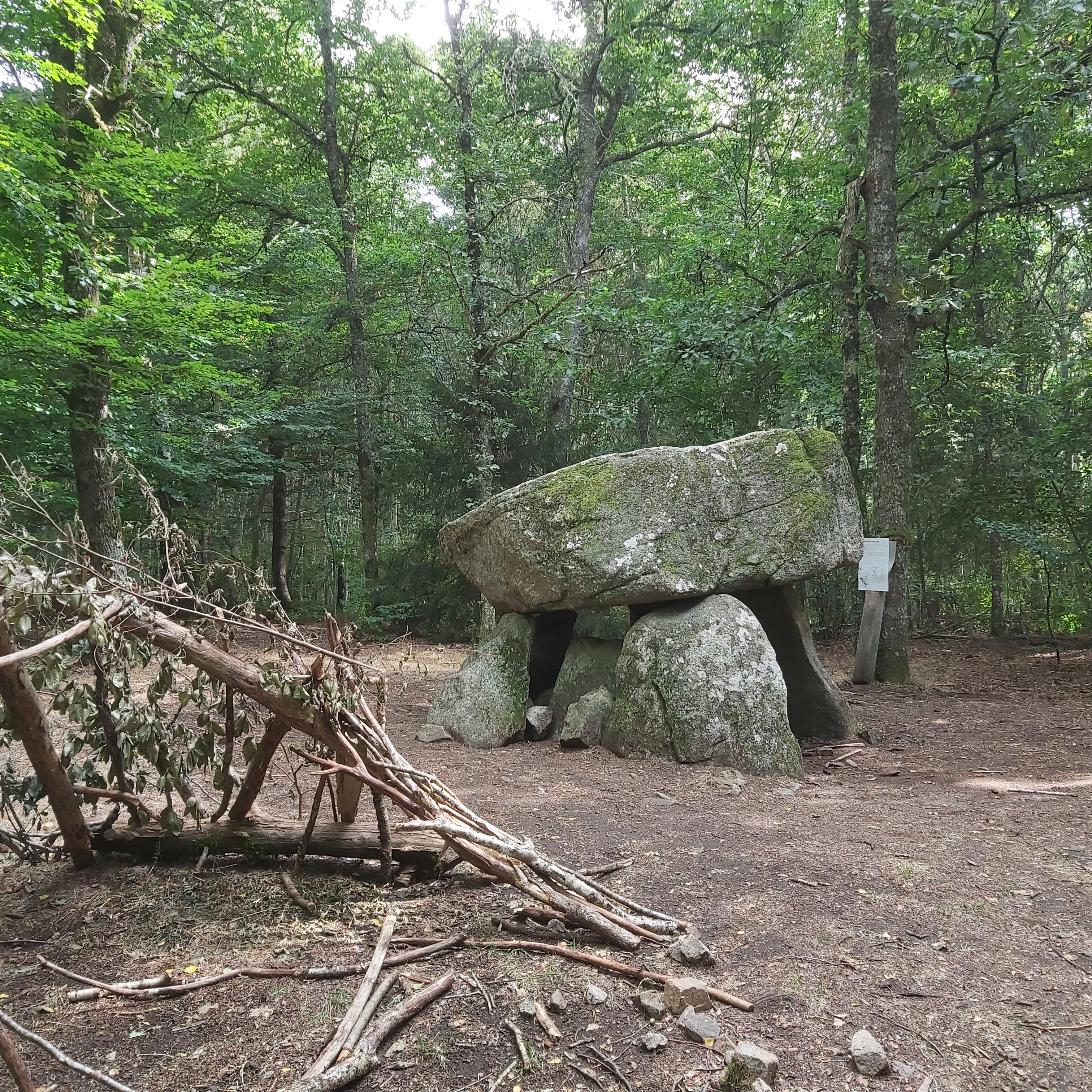 Photo n° 1 de l'avis de Paolo.o fait le 19/08/2022 à 20:01