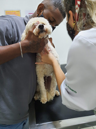 Provet em São Paulo - SP