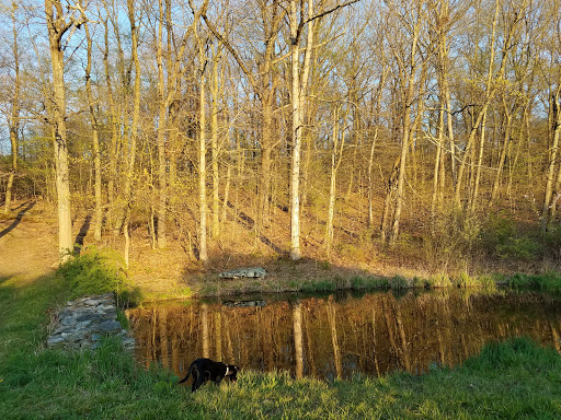 Nature Preserve «Cotton Hollow Preserve», reviews and photos, 493 Hopewell Rd, South Glastonbury, CT 06073, USA