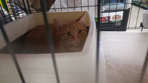 Pet Supply Store «Pet Supplies Plus», reviews and photos, 4923 Sheridan St, Hollywood, FL 33021, USA