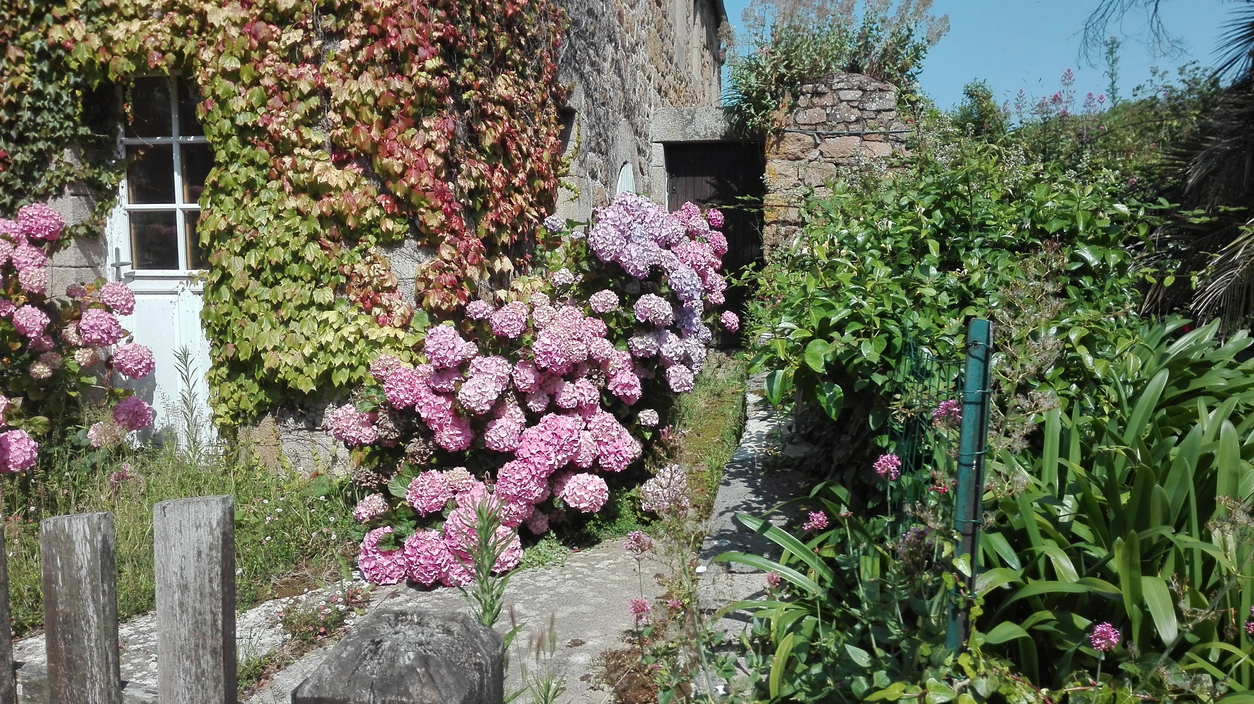 Photo n° 3 de l'avis de Thierry.e fait le 29/06/2019 à 20:21
