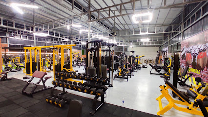 MUSCLE GYM & FITNESS CENTER