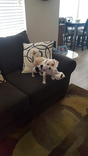 Go Pet Go, 878 MO-291, Liberty, MO 64068, USA, 