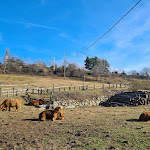 Photo n°2 de l'avis de Paolo.o fait le 05/02/2024 à 07:15 sur le  Ristorante @ Agriturismo Il Balcone sulla Valle à Bedero Valcuvia