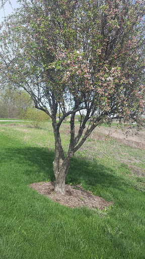 Park «Centennial Park», reviews and photos, 7800 W 171st St, Tinley Park, IL 60487, USA
