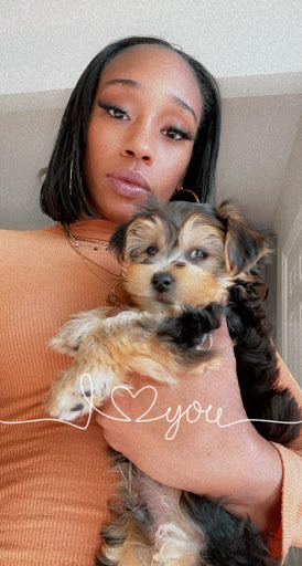 Pet Store «Happiness Is Pets Vi», reviews and photos, 616 E Roosevelt Rd, Lombard, IL 60148, USA