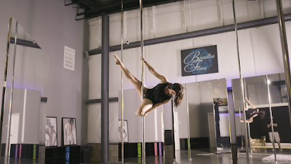 Boundless Fitness - Aerial Studio - Pole Fitness