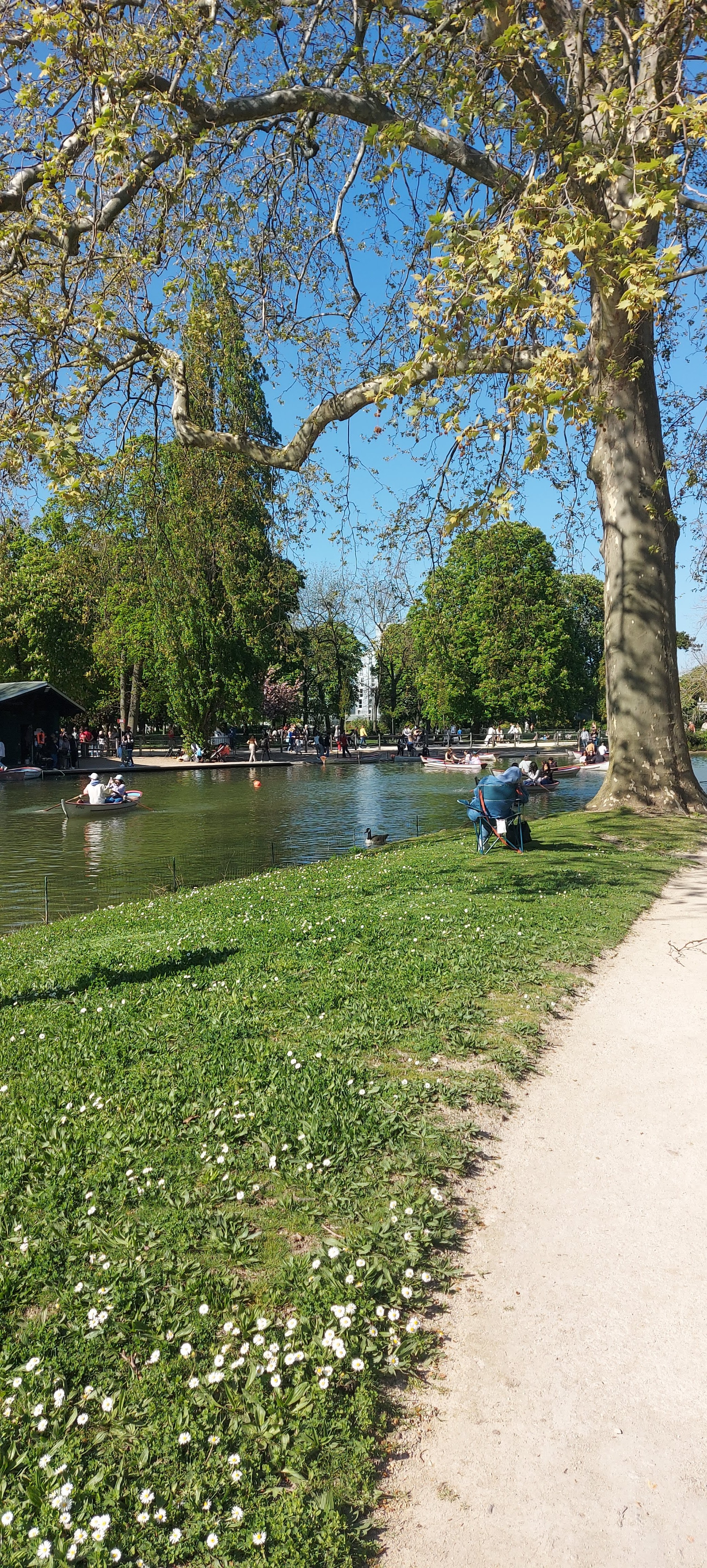 Photo n° 31 de l'avis de gwadilina.l fait le 12/05/2022 à 00:30