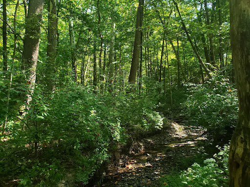 Golf Course «Delaware Golf Club», reviews and photos, 3329 Columbus Pike, Delaware, OH 43015, USA