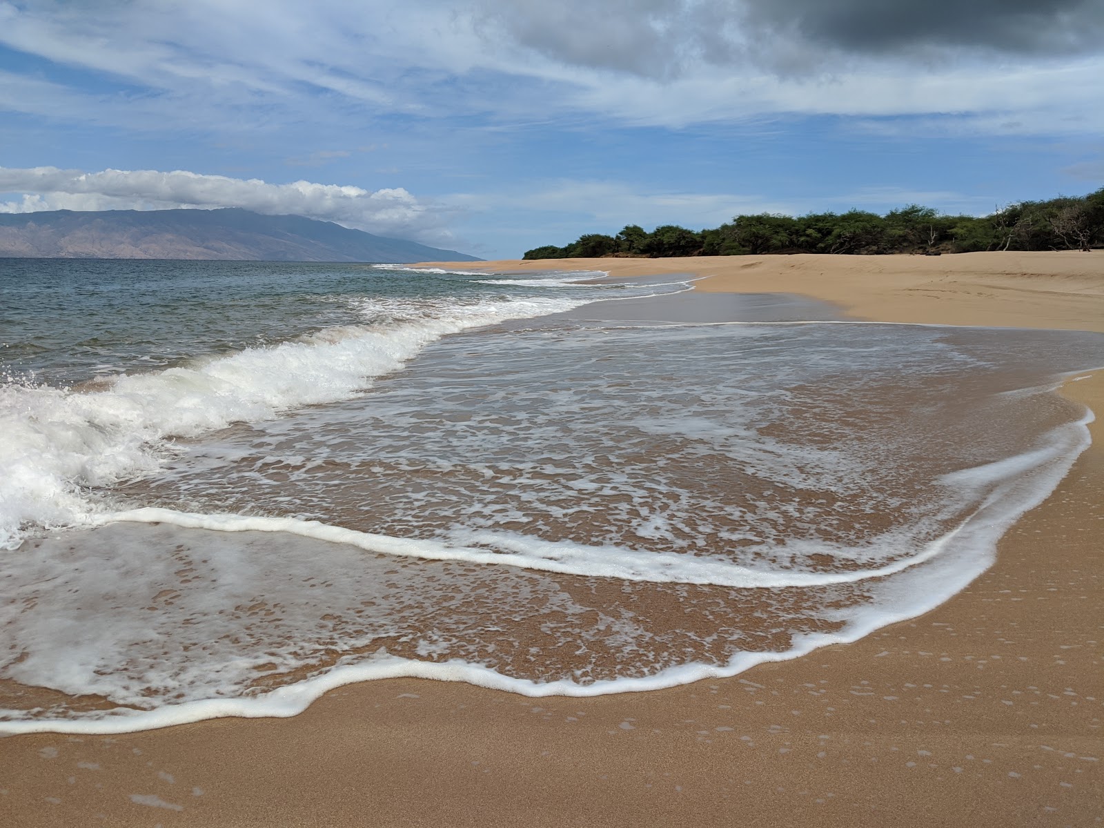 Foto van Polihua Beach gelegen in een natuurlijk gebied
