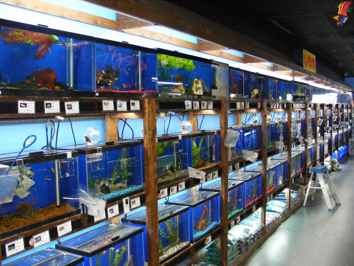 Pet Store «Laconia Pet Center», reviews and photos, 1343 Union Ave, Laconia, NH 03246, USA