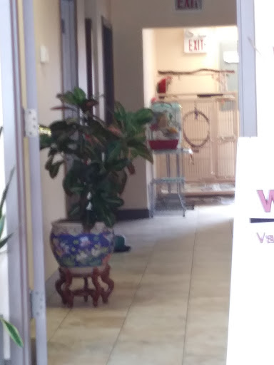 Beauty Salon «Valbona Beauty Salon», reviews and photos, 5138 N Elston Ave, Chicago, IL 60630, USA