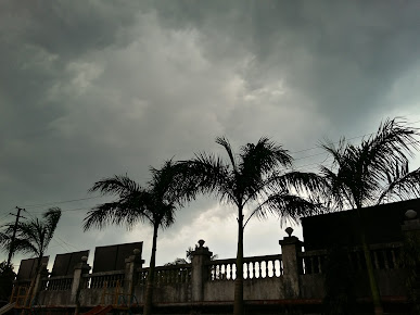 Google Maps image 19