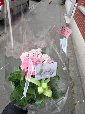 Fleurs à Roubaix
