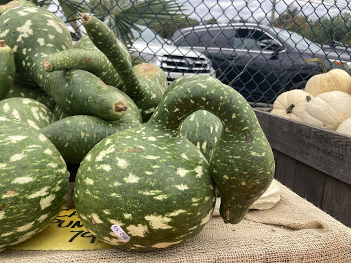 Garden Center «Nalls Produce», reviews and photos, 7310 Beulah St, Alexandria, VA 22315, USA