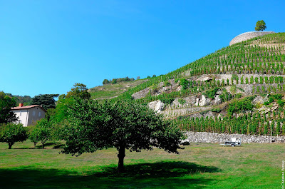 Domaine Georges-Vernay - Christine Vernay à Condrieu