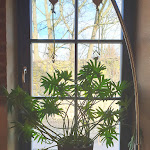 Photo n°1 de l'avis de Frank.r fait le 07/03/2020 à 16:30 sur le  Pension & Restaurant Hofgeflüster à Bernau bei Berlin