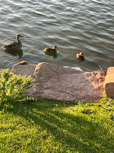 Memorial Park «E.B. Rains Jr. Memorial Park», reviews and photos, 11701 Community Center Dr, Northglenn, CO 80233, USA