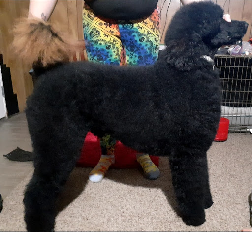 Pet Supply Store «Pet Supplies Plus», reviews and photos, 1791 W Columbia Ave, Battle Creek, MI 49015, USA