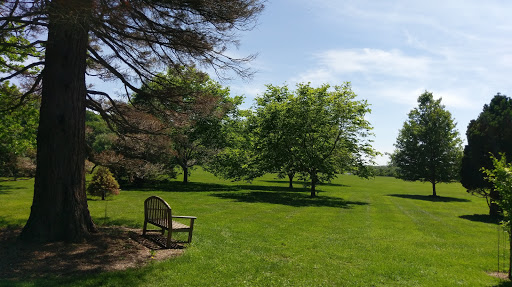 Tourist Attraction «Blithewold Mansion, Gardens & Arboretum», reviews and photos, 101 Ferry Rd, Bristol, RI 02809, USA