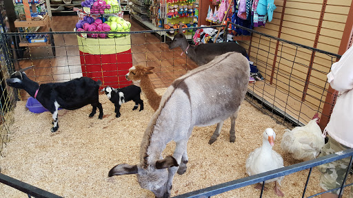 Pet Supply Store «Pet Supermarket», reviews and photos, 1746 E Silver Springs Blvd, Ocala, FL 34470, USA