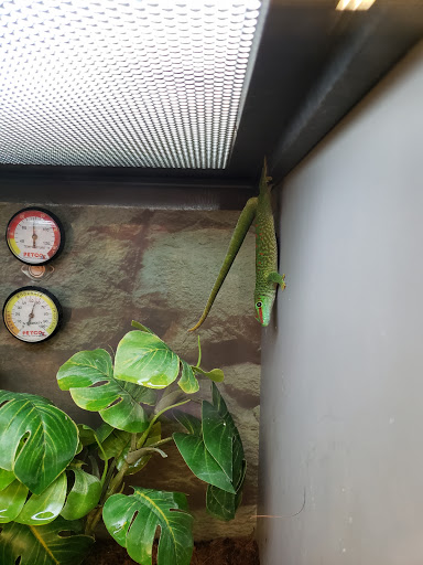 Pet Supply Store «Petco Animal Supplies», reviews and photos, 551 W Hampden Ave, Englewood, CO 80110, USA