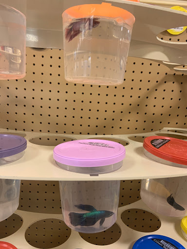 Pet Supply Store «Petco Animal Supplies», reviews and photos, 4913 Main St, Spring Hill, TN 37174, USA