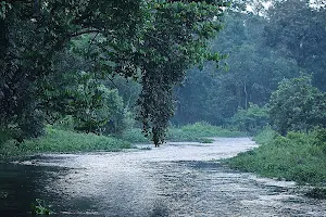 Modhubon Forest image