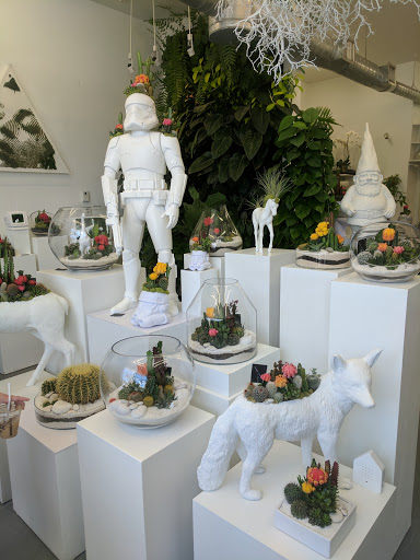 Interior Plant Service «Plant The Future, Inc.», reviews and photos, 2511 NW 2nd Ave, Miami, FL 33127, USA