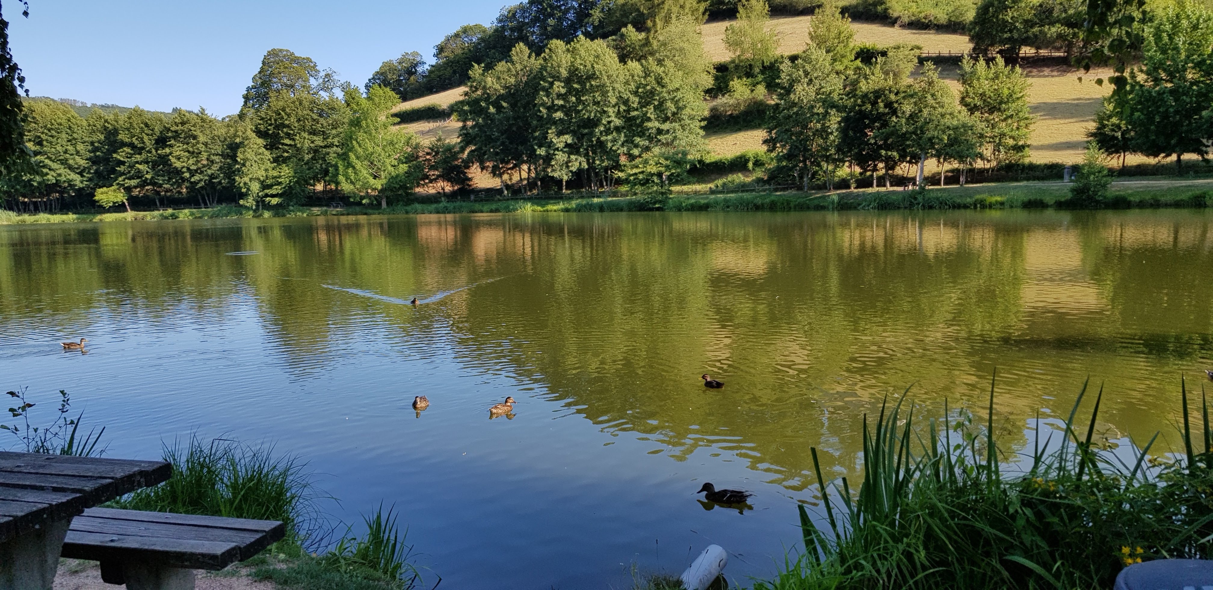 Photo n° 6 de l'avis de Nicole.a fait le 07/08/2019 à 12:56