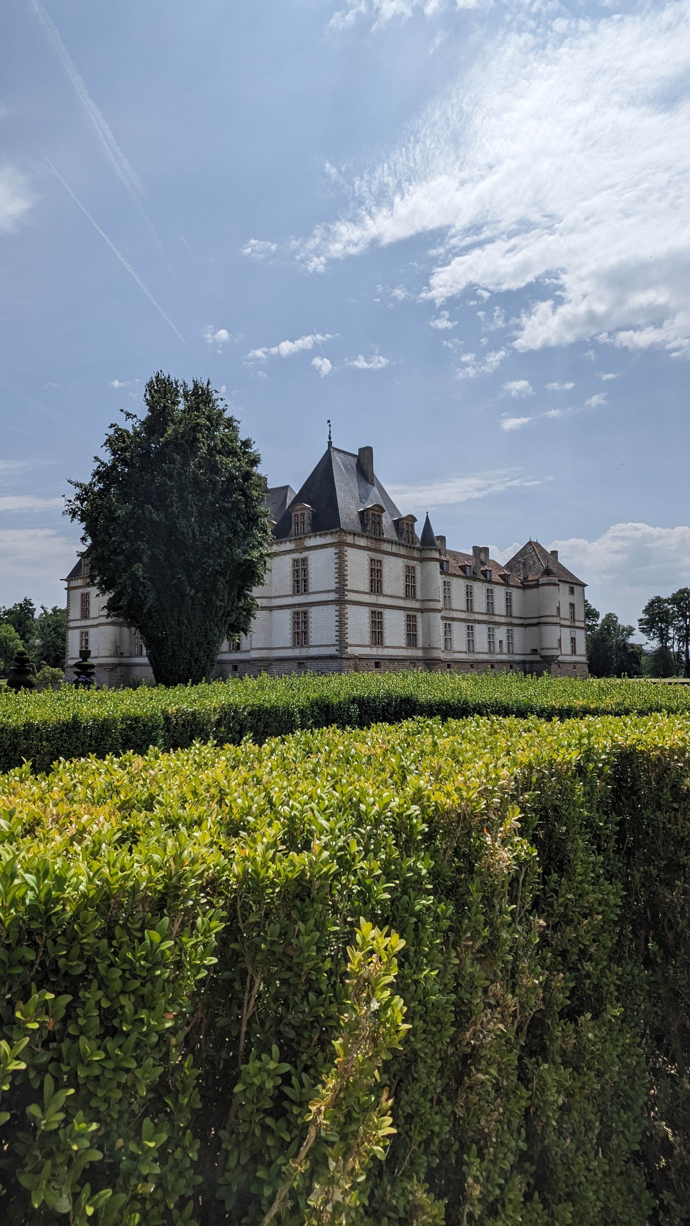 Photo n° 1 de l'avis de s. fait le 31/07/2023 à 08:43