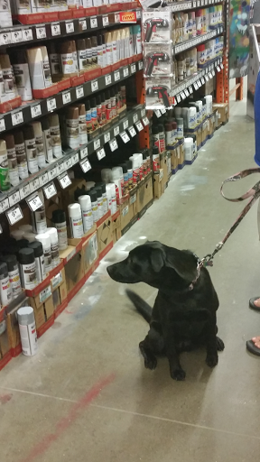 Home Improvement Store «The Home Depot», reviews and photos, 909 W McDermott Dr, Allen, TX 75013, USA