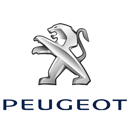 SAS GGE PAUL ROSEC Peugeot à Brest