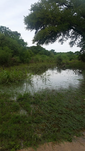 Park «Oakwell TrailHead Park», reviews and photos, 150 Ira Lee Rd, San Antonio, TX 78218, USA