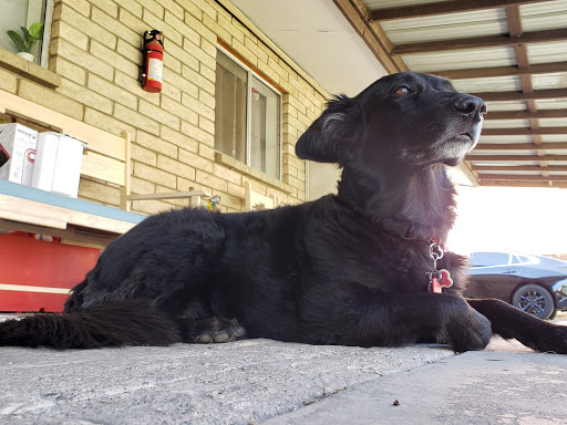 Art Gallery «Unexpected Art Gallery», reviews and photos, 734 W Polk St, Phoenix, AZ 85007, USA