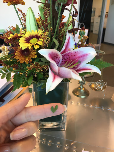 Immigration Attorney «Law Offices of Nassim Arzani», reviews and photos