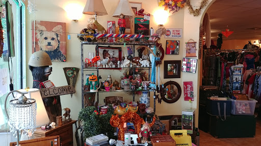 Thrift Store «Thrifty Nickel Tampa Thrift Store Re-Sale», reviews and photos, 7706 W Hillsborough Ave, Tampa, FL 33615, USA