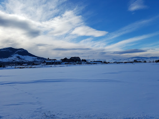 Park «Centennial Park», reviews and photos, 1200 N Last Chance Gulch, Helena, MT 59601, USA