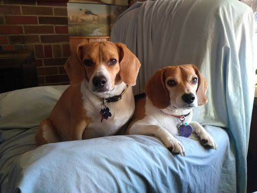 525 Chesaning St, St Charles, MI 48655, USA